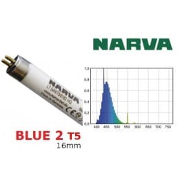 Świetlówka T5 NARVA Blue2 54W barwa morska-niebieska
