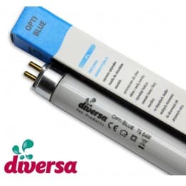 Świetlówka akwarystyczna Diversa T5 54W Opti Blue 15000K