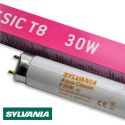 Świetlówka Sylvania T8 30W AquaClassic 5000K