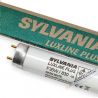 Świetlówka Sylvania T8 Luxline Plus 36W/830 3000K Warm White