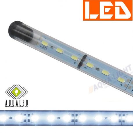Lampa/świetlówka LED typ 5630 10W/50cm, firmy AQUALED | sklep AQUA-LIGHT.pl