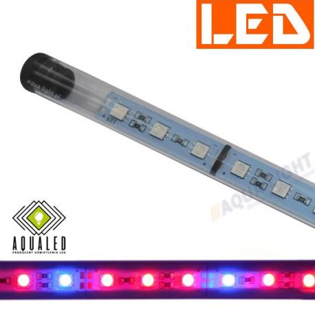 Lampa/świetlówka LED PLANT 6W/50cm, firmy AQUALED | sklep AQUA-LIGHT.pl