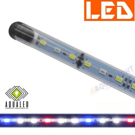 Lampa/świetlówka LED FULL SPECTRUM 19W/90cm, firmy AQUALED | sklep AQUA-LIGHT.pl