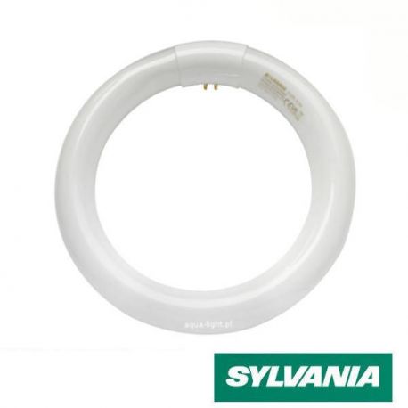 Świetlówka UVA kołowa Sylvania BL368 FC32W | sklep AQUA-LIGHT