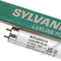 Świetlówka Sylvania T8 Luxline Plus 15W/865 6500K Daylight