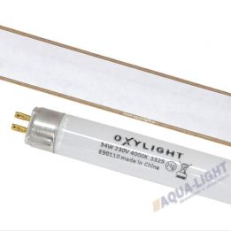 Świetlówka T5 54W 4000K OXYLight