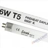 Świetlówka T5 6W 6500K Daylight LEUCI
