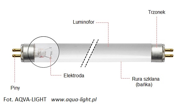 Budowa świetlówki | blog AQUA-LIGHT